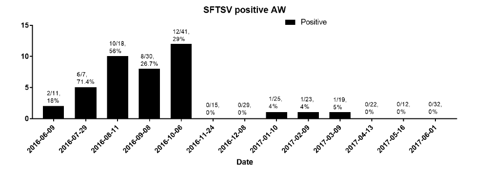 제주도 애월리(AW)에서 작은소참진드기에서 SFTS 바이러스 유전자 양성 검출율