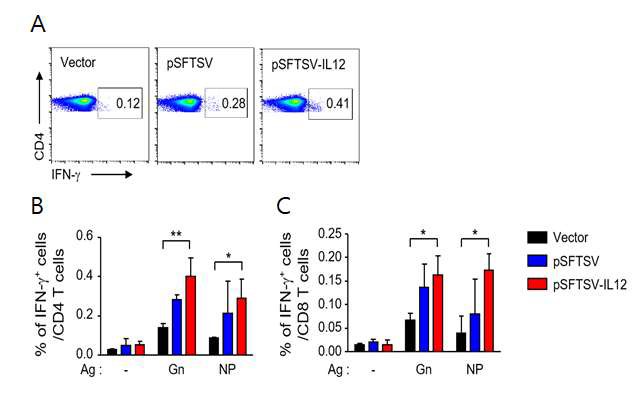 SFTSV DNA plasmid에 면역된 마우스에서 항원 특이 T 세포 반응 분석. (A) FACS 기기를 이용한 IFN-γ 양성 CD4 T 세포정량분석, (B) IFN-γ 양성 CD4와 (C) CD8 T 세포면역반응 분석결과