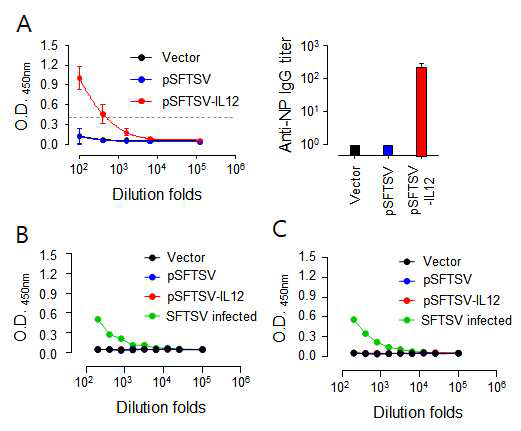 SFTS DNA 백신 투여 후 형성된 항원 특이 항체반응. (A) SFTSV NP, (B) SFTSV Gn, (C) SFTSV Gc 특이 항체반응. 검정:Vector control, 파랑: pSFTSV, 빨강: pSFTSV-IL12, 녹색: SFTS 바이러스 감염