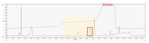 flow rate 0.6mL/min에서 카나마이신 peak 확인