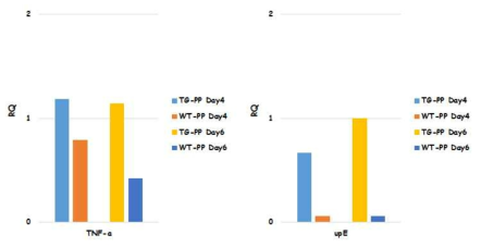 Confirmation of proinflammatory cytokine transcripts and viral RNA targeting upstream E gene in Peyer’s patches derived from MERS-CoV infected Tg-hDPP4 and wild-type littermates by qRT-PCR