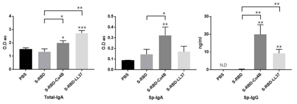 Induction of S-RBD-specific mucosal and systemic immune responses in Tg-hDPP4 mice immunized nasally with the indicated antigenic substance, respectively