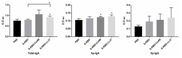 Induction of S-RBD-specific mucosal and systemic immune responses in Tg-hDPP4 mice immunized nasally with the indicated antigenic substance, respectively. Feces and serum were collected from Tg-hDPP4 mice boosted nasally with the same immunogen at 7 weeks after primary the first immunization