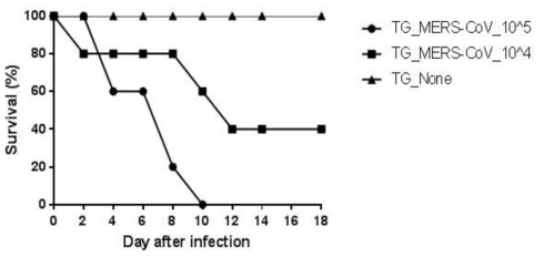 Confirmation of the infectivity of MERS-CoV leading to morbidity and mortality in C57BL/6 background transgenic mice expressing hDPP4