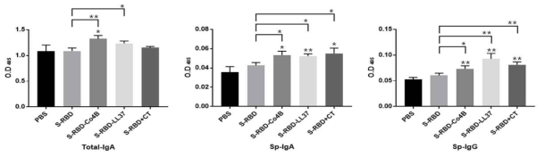 Induction of S-RBD-specific mucosal and systemic immune responses in C57BL/6 background Tg-hDPP4 mice immunized nasally with the indicated antigenic substance, respectively