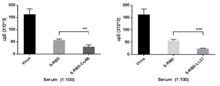 Confirmation of the ability to induce neutralization antibody responses by Co4B and LL-37 conjugate
