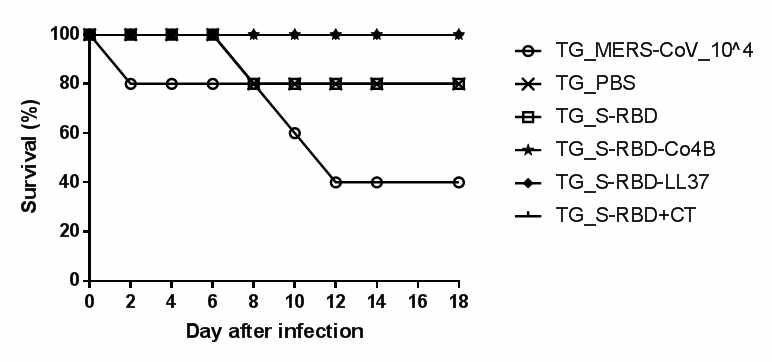 Analysis of protective effects of each recombinant protein against MERS-CoV (104 PFU/mouse) in C57BL/6 background Tg-hDPP4 mice immunized nasally with the indicated antigenic substance, respectively