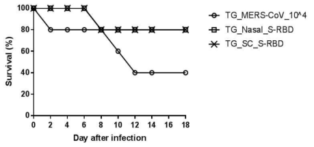 Comparison of protective effects of original S-RBD recombinant protein against MERS-CoV (104 PFU/mouse) in C57BL/6 background Tg-hDPP4 mice immunized with the same immunogen through nasal and subcutaneous route, respectively