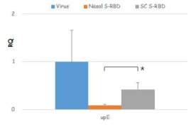 Viral upE gene transcript level in Lung tissue of MERS-CoV-infected Tg-hDPP4 mice immunized with antigenic substance (S-RBD) through nasal and subcutaneous route, respectively