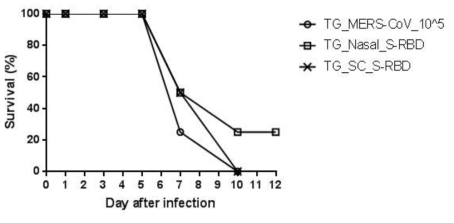 Comparison of protective effects of original S-RBD recombinant protein against MERS-CoV (105 PFU/mouse) in C57BL/6 background Tg-hDPP4 mice immunized with the same immunogen through nasal and subcutaneous route, respectively