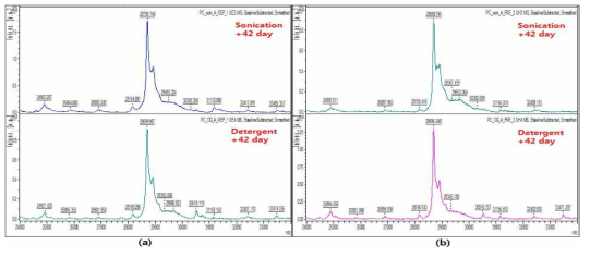 Lysis buffer (w/ Detergent) 전처리 방법으로 제작하여 온도 조건 별로 보관해 놓은 PC의 Bruker Microflex MALDI-TOF 측정 결과 (a) 냉장 보관 (b) 상온 보관