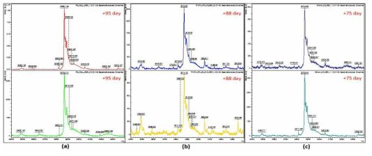 확립된 제조방법을 이용하여 제조된 3 batch의 PC를 각 Batch 별 Bruker Microflex MALDI-TOF 측정한 결과 (a) Batch 1(95일 경과) (b) Batch 2(33일경과) (c) Batch 3 (75일 경과)