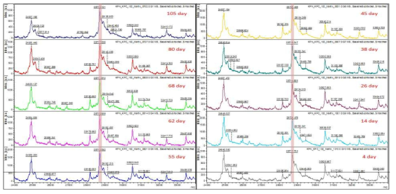 임상 검체 1(KPN KPC-2 #102)의 matrix 제작 날짜 별 MALDI-TOF 측정 결과