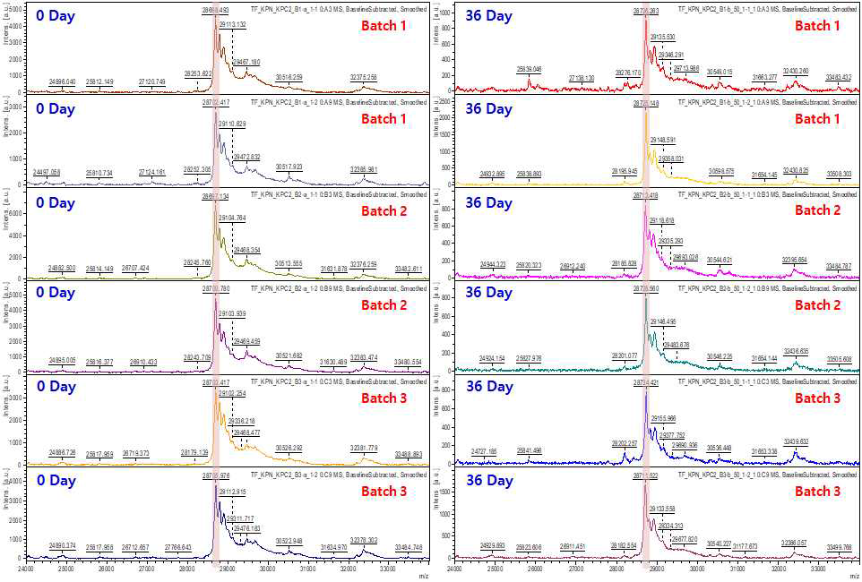 TF-KPN KPC 균주의 가속노화 안정성 시험 결과(0 Day & 36 Day)