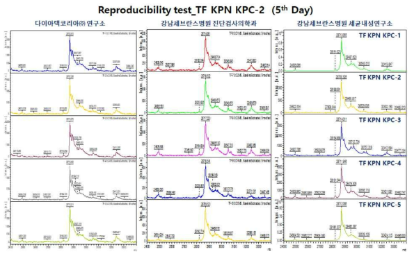 재현성(Reproducibility) 시험 결과 (5th Day: 다이아텍코리아(주) 연구소, 강남세브란스병원 진단검사의학과, 강남세브란스병원 세균내성연구소 시험 결과)