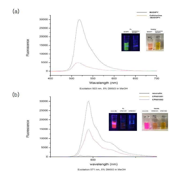 화학적 탐침자의 형광체 결합 전후의 형광 세기 비교 (a) BODIPY-Cefotaxime (b) CPN01001과 01002