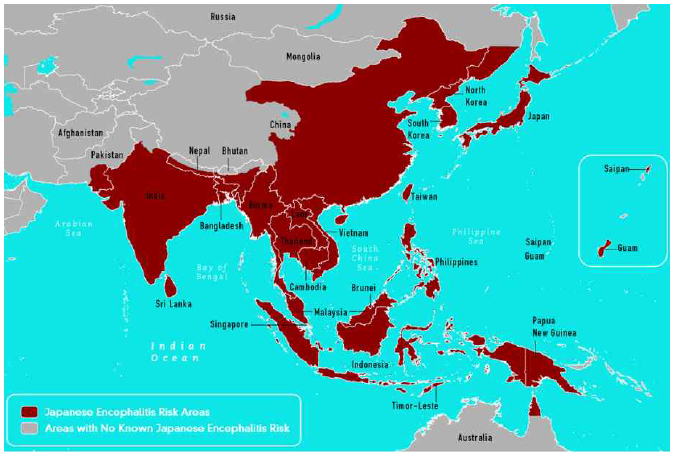 일본뇌염의 지역적 분포 (www.CDC.gov/Japaneseencephalitis/maps)