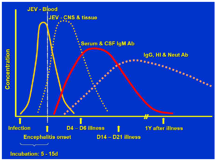 일본뇌염 바이러스 감염증 진단시기에 따른 임상검체에서의 항원과 항체의 분포양상