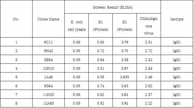 치쿤구니야 단클론항체 세포 선별 결과