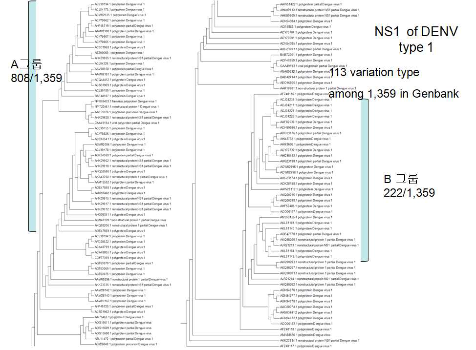 DENV type 1 NS1 유전자(아미노산 서열)의 Phylogenetic analysis