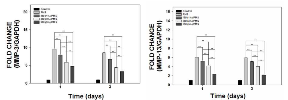 Ibuprofen이 탑재된 PMS의 MMP-3(좌) 와 MMP-13(우) 분석