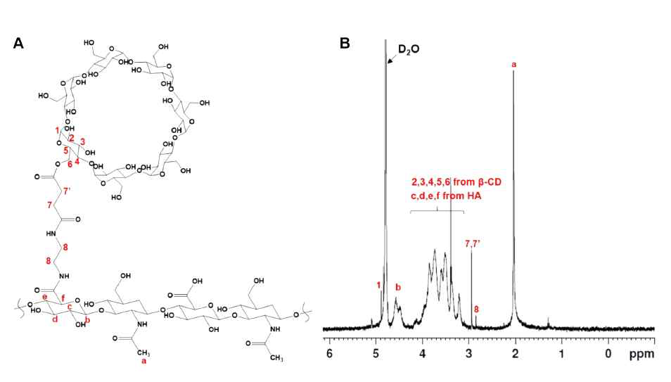 (A) HA-β-CD 화학적 구조 및 (B) 핵자기공명 이용하여 HA-β-CD 측정