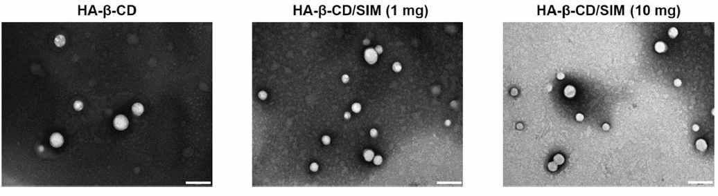투과전자현미경 이용하여 HA-β-CD, HA-β-CD/SIM (1 mg) 및 HA-β-CD/SIM (10 mg)의 입자크기 이미지