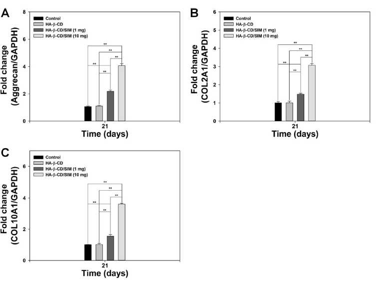 HA-β-CD 및 HA-β-CD/SIM 처리 21일 후 연골분화마커 gene levels