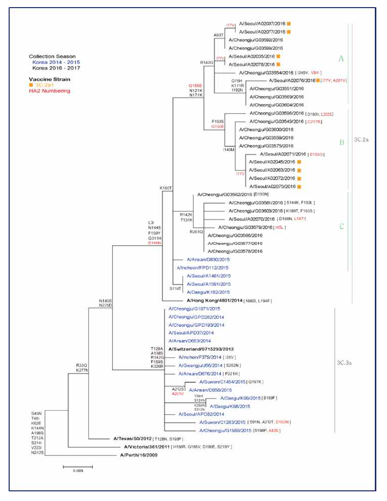 sanger sequencing을 통하여 Flu A virus 의 HA gene phylogenetic tree