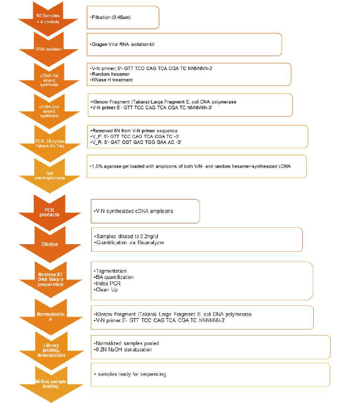 Virome analysis pipeline