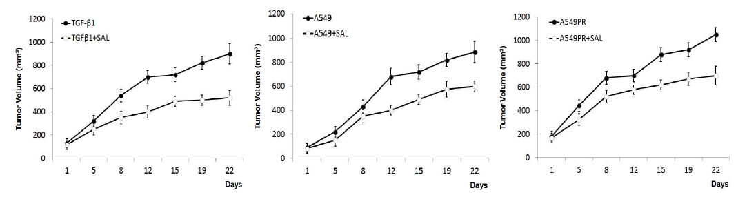 다양한 폐암모델에서 종양의 성장곡선