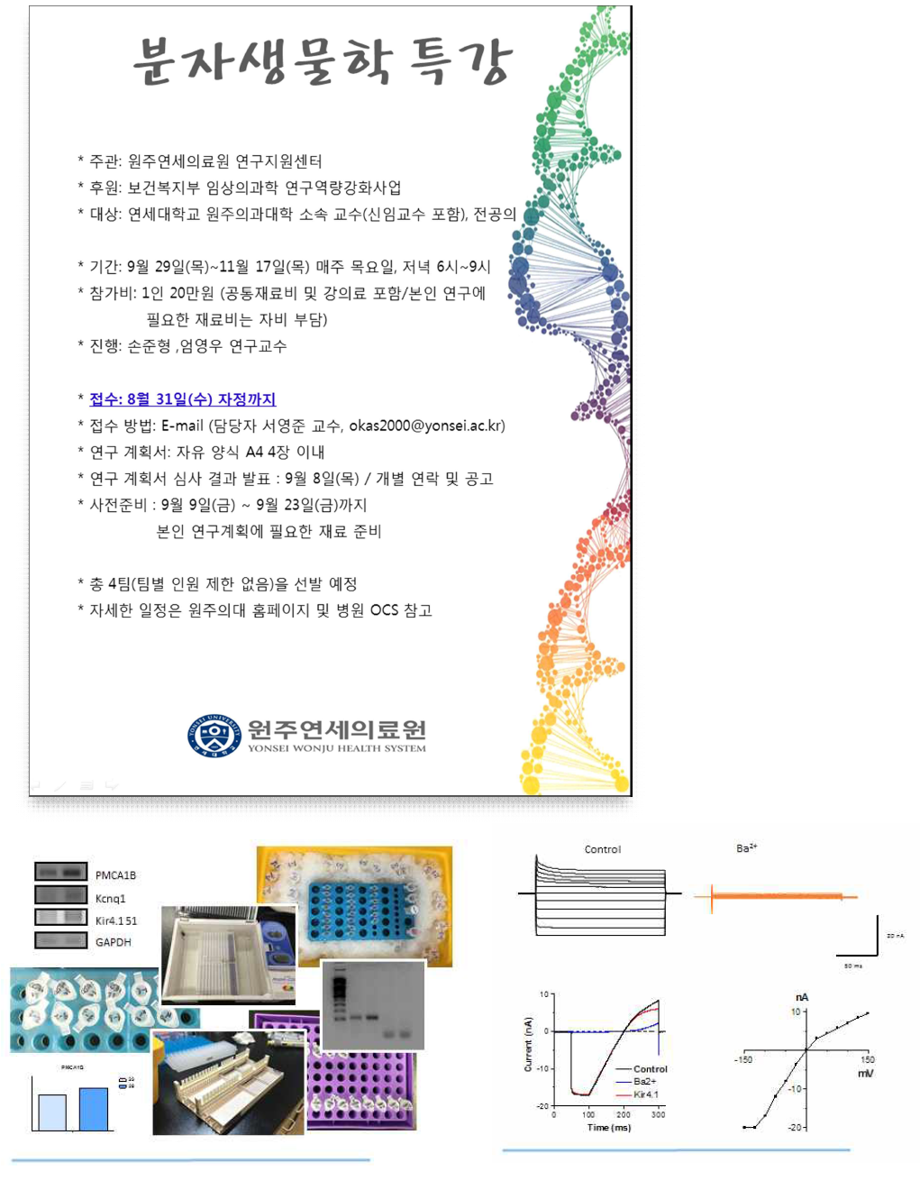 박윤아 전공의가 멘토링을 통한 연구