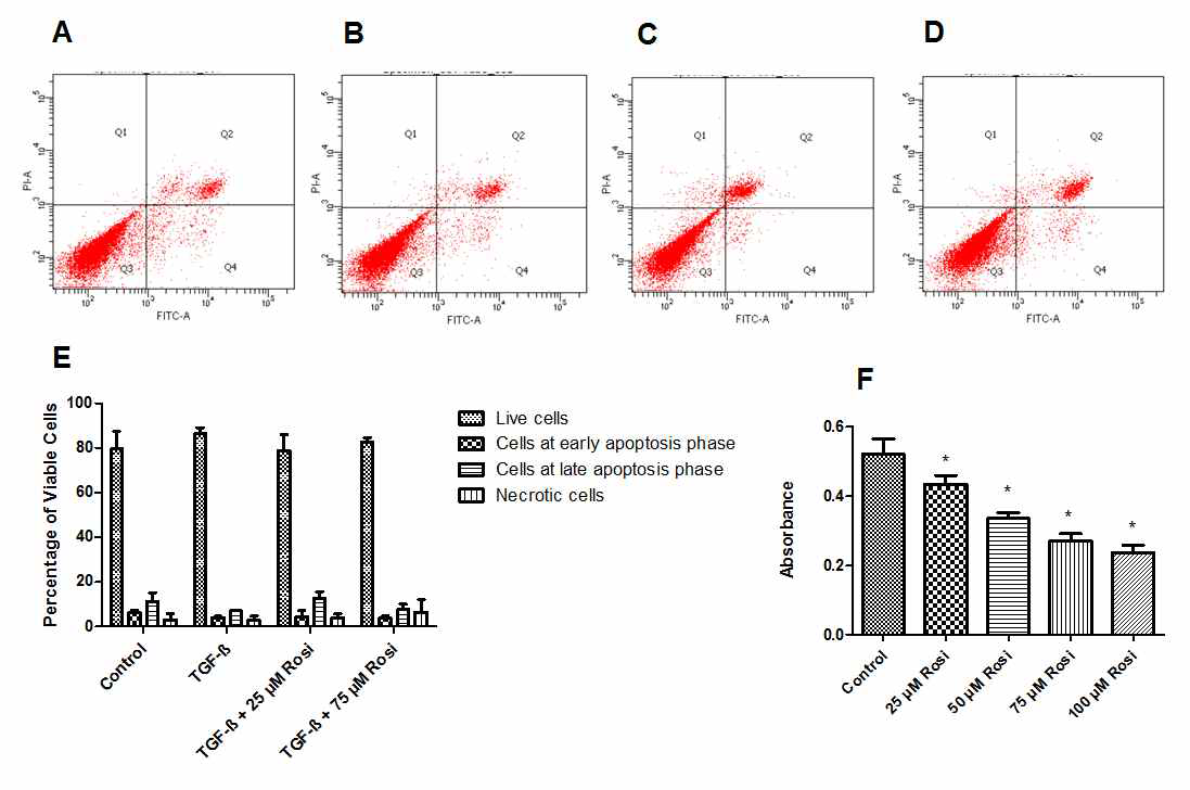 A-E Flow cytometry를 이용하여 rosiglitazone 이 apoptosis 를 유발하지 않고 있음을 확인함. F CCK-8 방법을 이용하여 rosiglotazone 의 처리가 익상편 섬유아세포의 증식을 억제하고 있음을 확인함