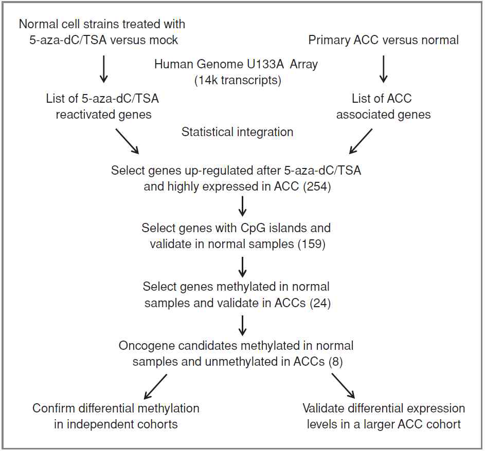 epigenetic screening 전략 (Clinical Cancer Research; 17(13) July 1, 2011)