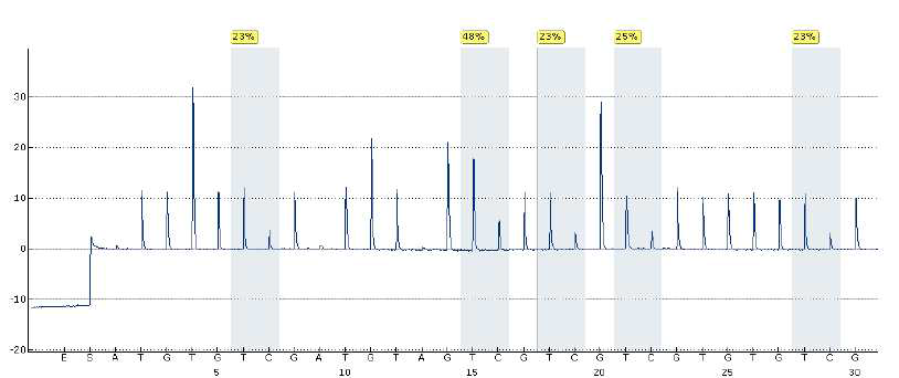 Pyrosequncing for HCN2 methylation level