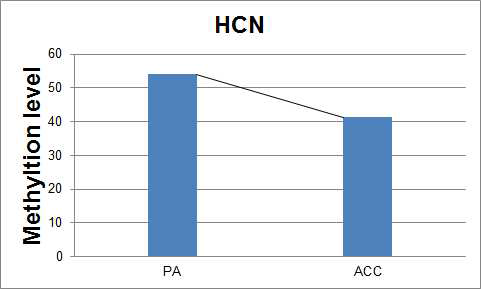 HCN2 methylation level in PA and ACC