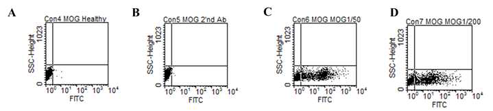 MOG alpha 1을 발현하는 세포주와 healthy control (A), secondary Ab only (B), strong positive (C) 및 medium positive (D)시료와의 반응 여부를 FACS로 확인함