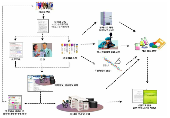 한국인유전체역학조사사업 사업 추진체계 그림 출처 : 질병관리본부, 국립보건연구원 제공