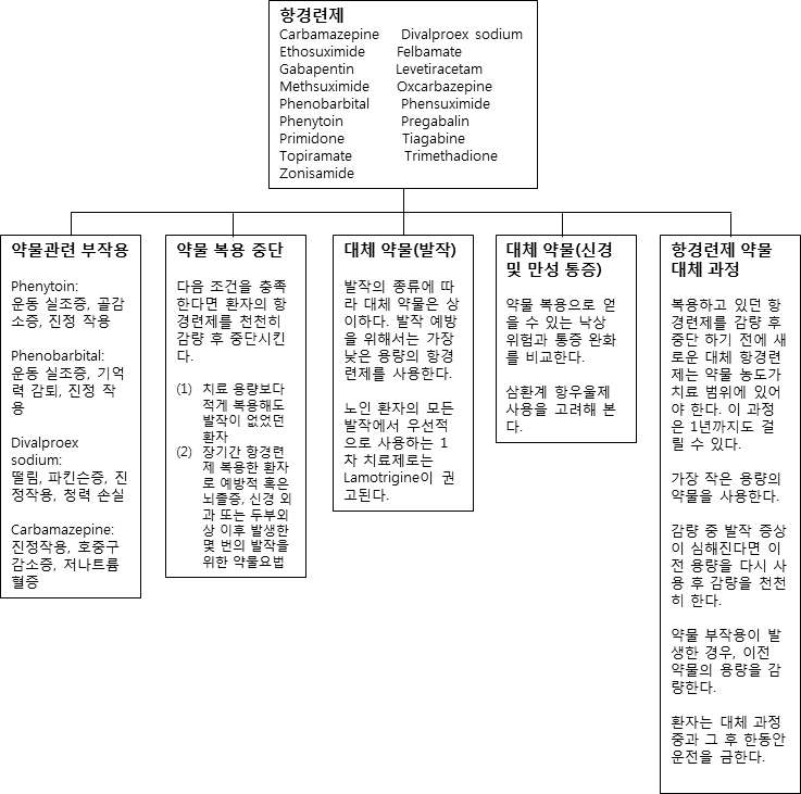 항경련제 사용과 노인에서 약상 유발 약물 중재 자료: Ferreri S, et al. Am J Geriatr Pharmacother 2008;6:61-81