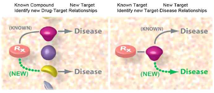 신약재창출의 접근방법: off-target(왼쪽) & on-target(오른쪽) (출처: Ted T. Ashburn, et al. 2004)