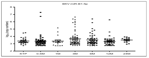 신장 이식 후 각 시기별로 소변 exosomal BKV miR-B1-5p의 발현양 비교