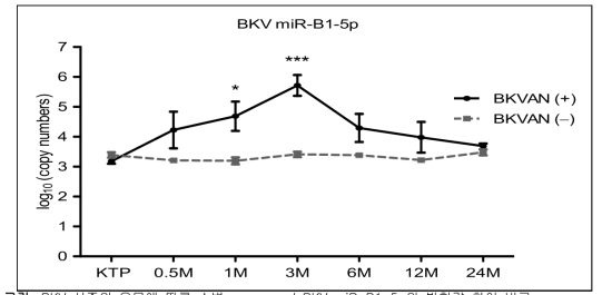 신증의 유무에 따른 소변 exosomal BKV miR-B1-5p의 발현량 차이 비교 BKVAN: BK virus-associated nephropathy BKVAN (+): biopsy-proven BKVAN or presumptive BKVAN BKVAN (-): no evidence of BKVAN * p value < 0.5 *** p value < 0.001