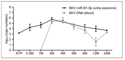 신증으로 확진되거나 잠정진단된 10명의 신이식 환자의 소변 exosomal BKV miR와 혈액 BKV DNA의 비교