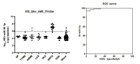 Probe 방식 BKV miRNA 진단 kit의 BKV miRNA 정량 및 진단적 정확도