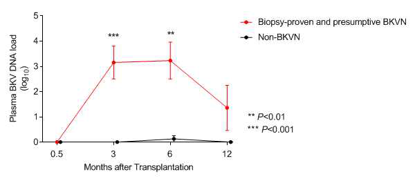 이식 후 기간에 따른 혈장 BK 바이러스 DNA 변화
