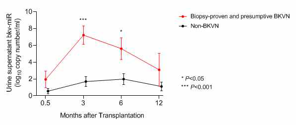 이식 후 기간에 따른 소변 상층액내 BK 바이러스 miRNA 변화