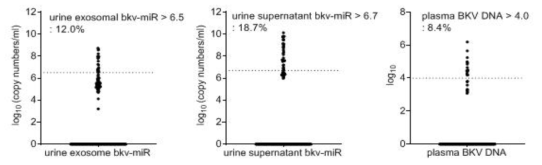 소변 BK 바이러스 miRNA와 혈장 BK 바이러스 DNA 분포