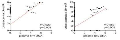 소변 BK 바이러스 miRNA와 혈장 BK 바이러스 DNA의 상관관계