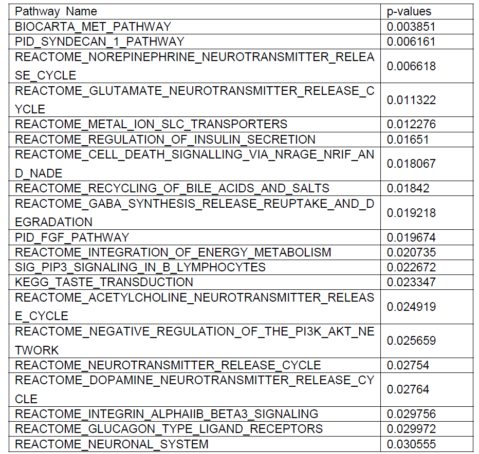 miRNApath 분석결과 상위 30개의 pathway