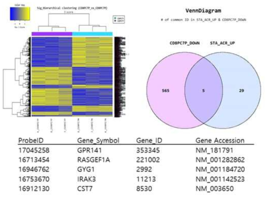 CCR7+CD8+세포와 CCR7-CD8+세포의 RNA를 microarray결과 및 1세부의 전사체 결과와 상관관계 분석